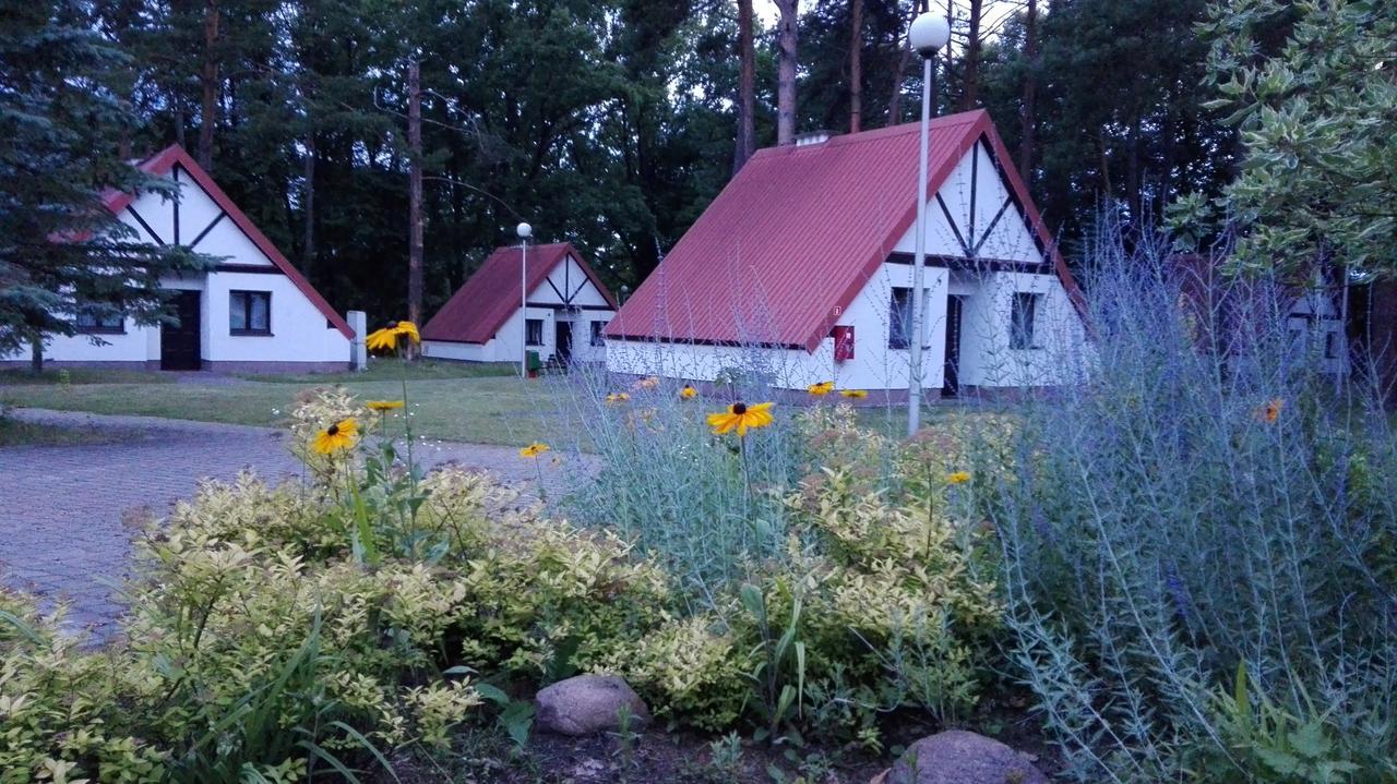 Hotel Osrodek Szkoleniowo - Wypoczynkowy Guzianka Ruciane-Nida Esterno foto