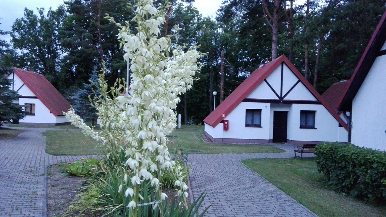Hotel Osrodek Szkoleniowo - Wypoczynkowy Guzianka Ruciane-Nida Esterno foto