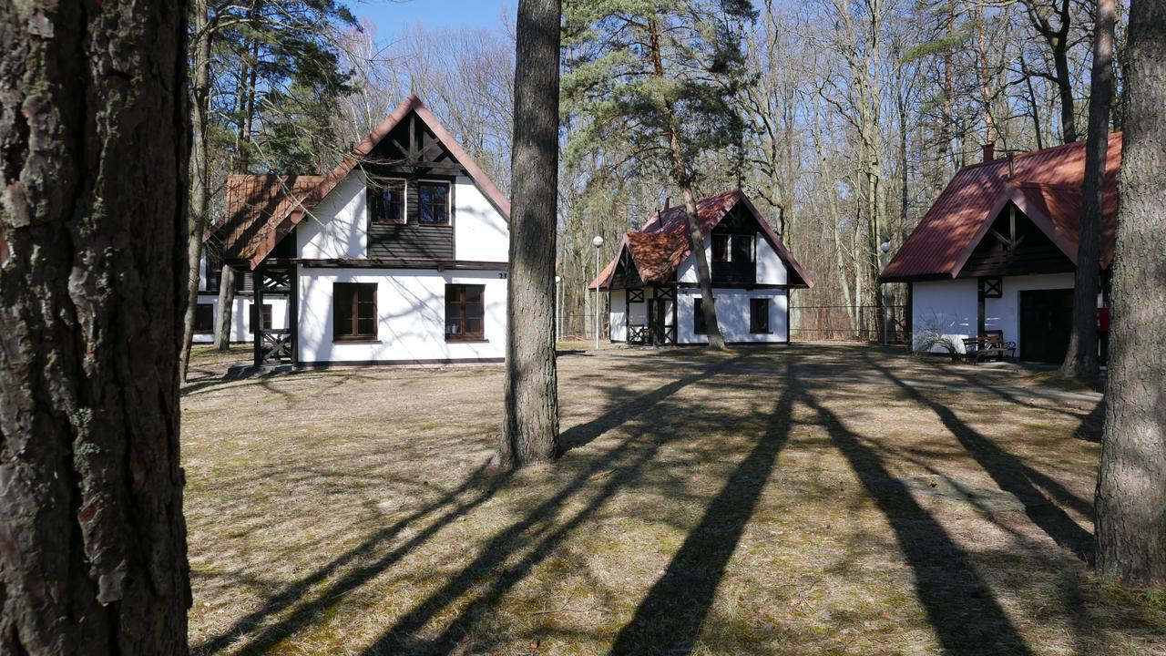 Hotel Osrodek Szkoleniowo - Wypoczynkowy Guzianka Ruciane-Nida Esterno foto
